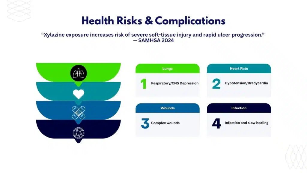 Infographic outlining major health risks of xylazine including sedation, slow wound healing, hypotension, and infection.