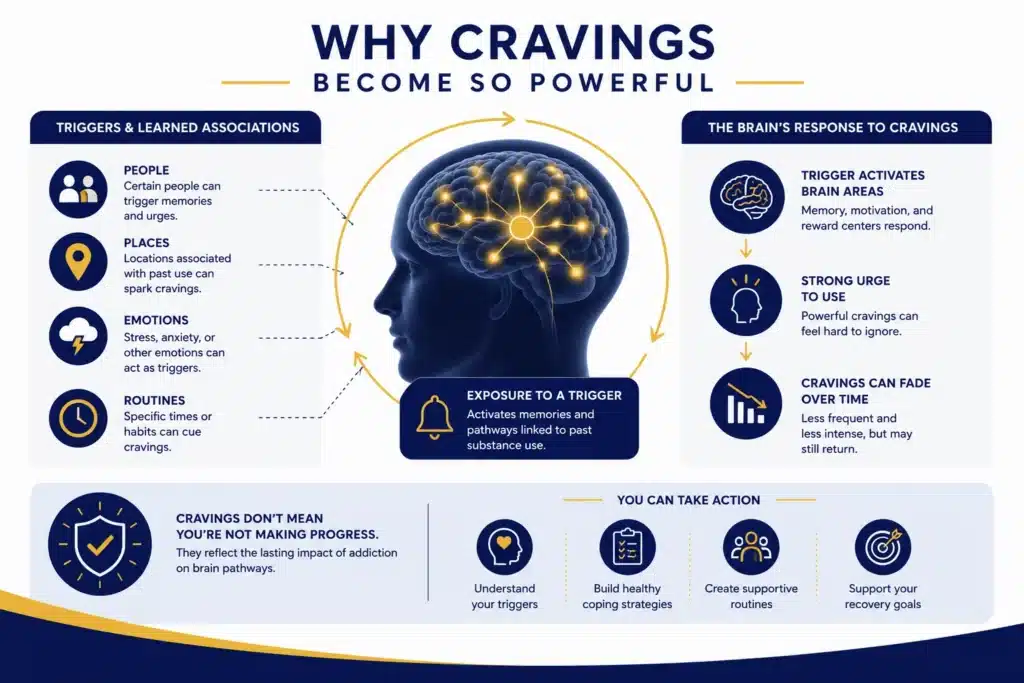 Infographic illustrating how triggers, learned associations, memory, and reward pathways contribute to cravings during addiction recovery.
